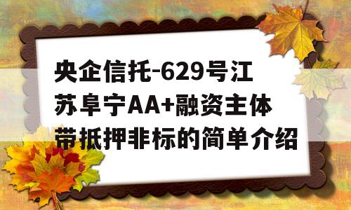 央企信托-629号江苏阜宁AA+融资主体带抵押非标的简单介绍