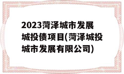 2023菏泽城市发展城投债项目(菏泽城投城市发展有限公司)