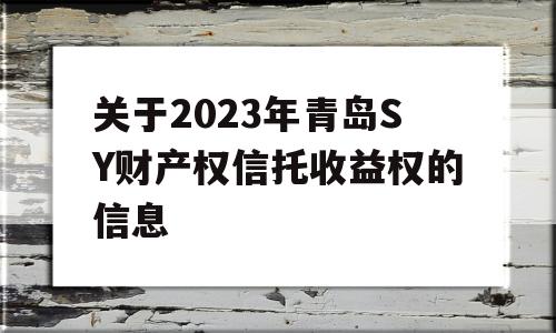 关于2023年青岛SY财产权信托收益权的信息