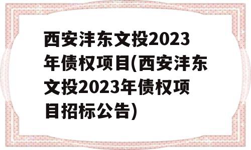 西安沣东文投2023年债权项目(西安沣东文投2023年债权项目招标公告)