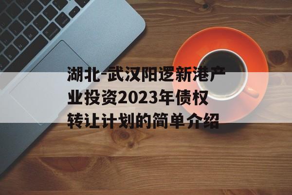 湖北-武汉阳逻新港产业投资2023年债权转让计划的简单介绍