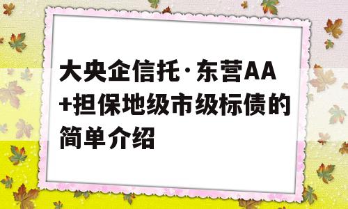 大央企信托·东营AA+担保地级市级标债的简单介绍