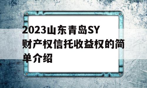 2023山东青岛SY财产权信托收益权的简单介绍