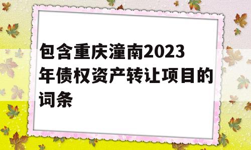 包含重庆潼南2023年债权资产转让项目的词条