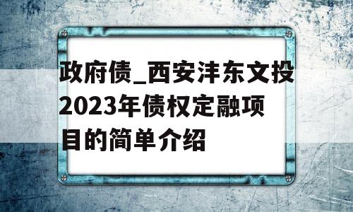 政府债_西安沣东文投2023年债权定融项目的简单介绍