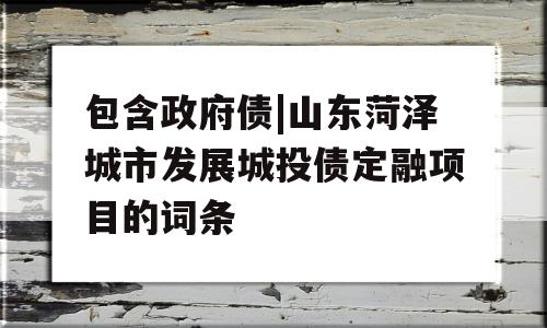 包含政府债|山东菏泽城市发展城投债定融项目的词条