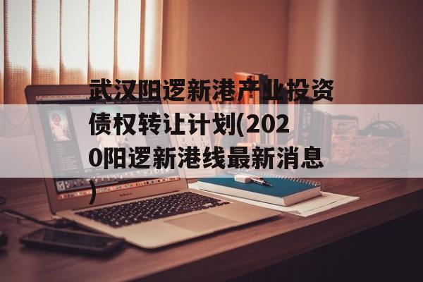 武汉阳逻新港产业投资债权转让计划(2020阳逻新港线最新消息)