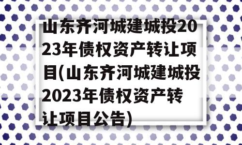 山东齐河城建城投2023年债权资产转让项目(山东齐河城建城投2023年债权资产转让项目公告)