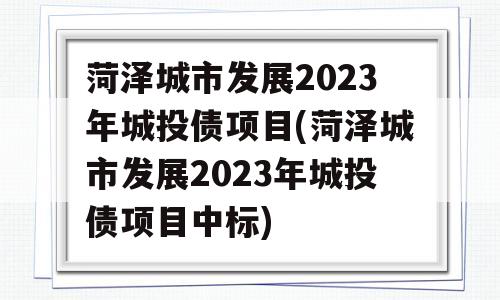 菏泽城市发展2023年城投债项目(菏泽城市发展2023年城投债项目中标)