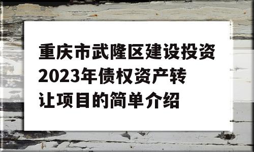 重庆市武隆区建设投资2023年债权资产转让项目的简单介绍