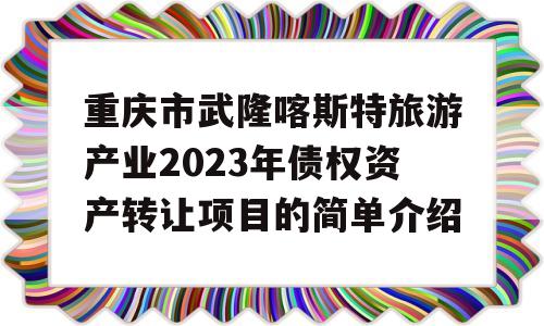 重庆市武隆喀斯特旅游产业2023年债权资产转让项目的简单介绍