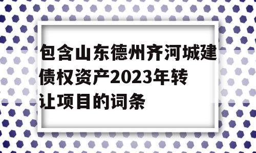 包含山东德州齐河城建债权资产2023年转让项目的词条