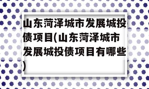 山东菏泽城市发展城投债项目(山东菏泽城市发展城投债项目有哪些)