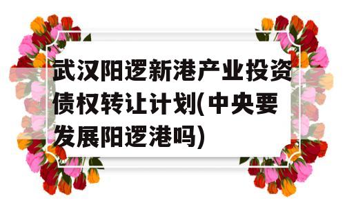 武汉阳逻新港产业投资债权转让计划(中央要发展阳逻港吗)