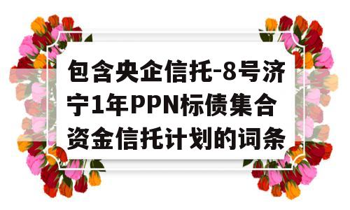 包含央企信托-8号济宁1年PPN标债集合资金信托计划的词条