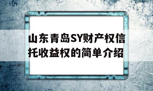 山东青岛SY财产权信托收益权的简单介绍