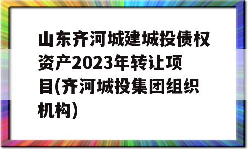 山东齐河城建城投债权资产2023年转让项目(齐河城投集团组织机构)