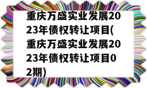 重庆万盛实业发展2023年债权转让项目(重庆万盛实业发展2023年债权转让项目02期)