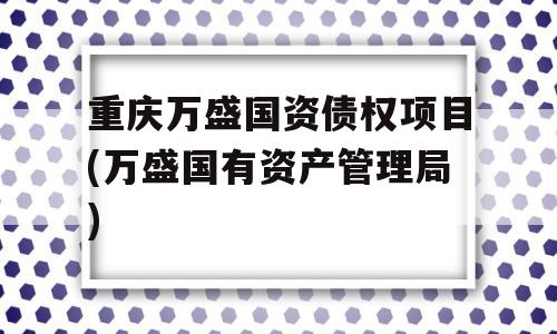 重庆万盛国资债权项目(万盛国有资产管理局)