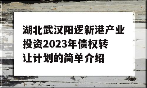 湖北武汉阳逻新港产业投资2023年债权转让计划的简单介绍