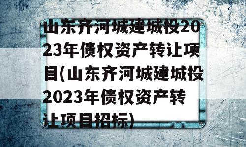 山东齐河城建城投2023年债权资产转让项目(山东齐河城建城投2023年债权资产转让项目招标)