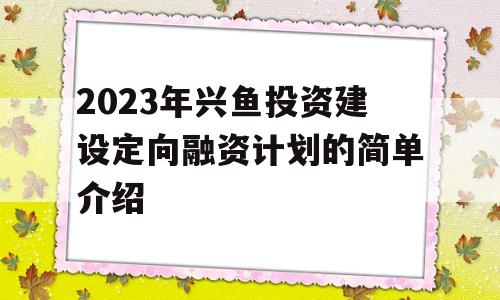 2023年兴鱼投资建设定向融资计划的简单介绍