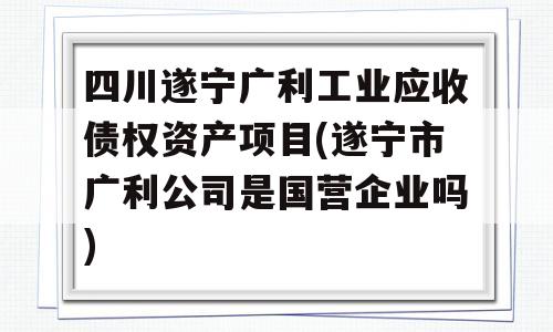 四川遂宁广利工业应收债权资产项目(遂宁市广利公司是国营企业吗)