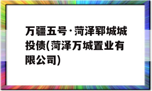 万疆五号·菏泽郓城城投债(菏泽万城置业有限公司)