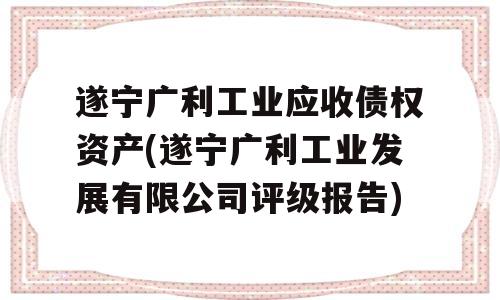 遂宁广利工业应收债权资产(遂宁广利工业发展有限公司评级报告)