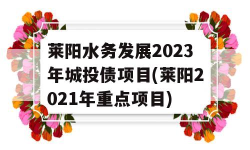 莱阳水务发展2023年城投债项目(莱阳2021年重点项目)