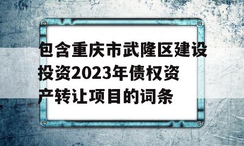 包含重庆市武隆区建设投资2023年债权资产转让项目的词条