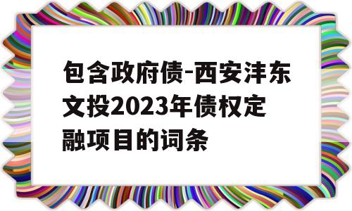 包含政府债-西安沣东文投2023年债权定融项目的词条