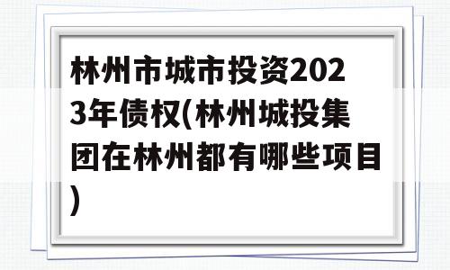 林州市城市投资2023年债权(林州城投集团在林州都有哪些项目)