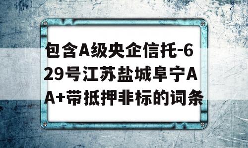 包含A级央企信托-629号江苏盐城阜宁AA+带抵押非标的词条