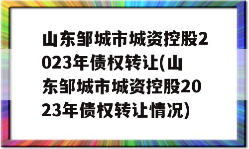 山东邹城市城资控股2023年债权转让(山东邹城市城资控股2023年债权转让情况)