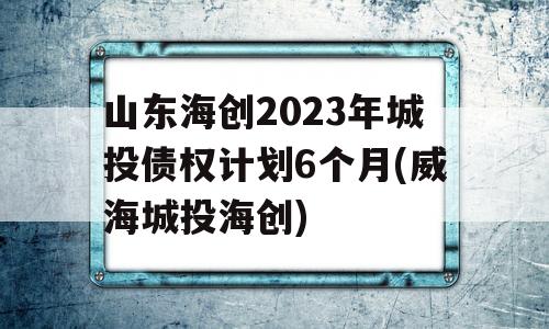 山东海创2023年城投债权计划6个月(威海城投海创)