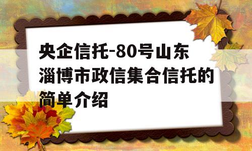 央企信托-80号山东淄博市政信集合信托的简单介绍