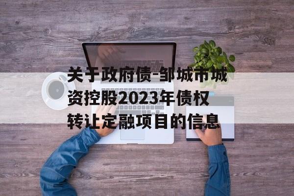 关于政府债-邹城市城资控股2023年债权转让定融项目的信息