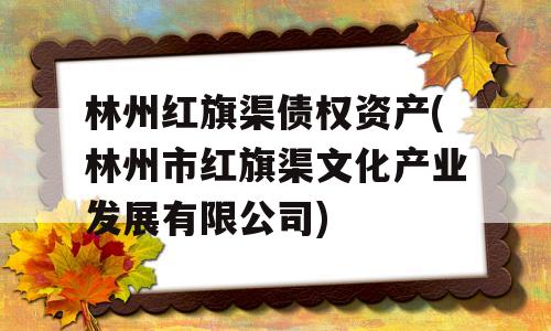 林州红旗渠债权资产(林州市红旗渠文化产业发展有限公司)