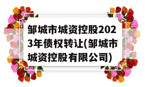 邹城市城资控股2023年债权转让(邹城市城资控股有限公司)