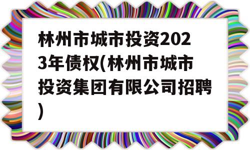 林州市城市投资2023年债权(林州市城市投资集团有限公司招聘)