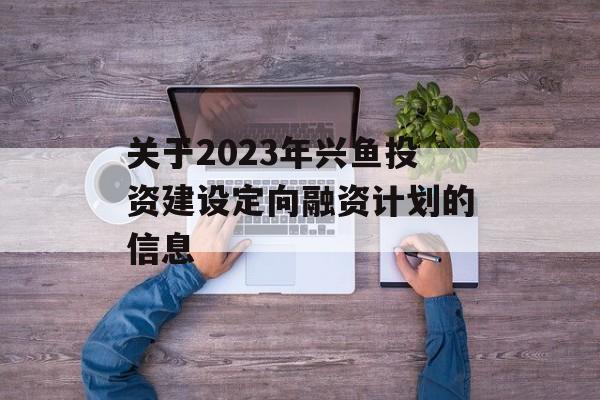 关于2023年兴鱼投资建设定向融资计划的信息