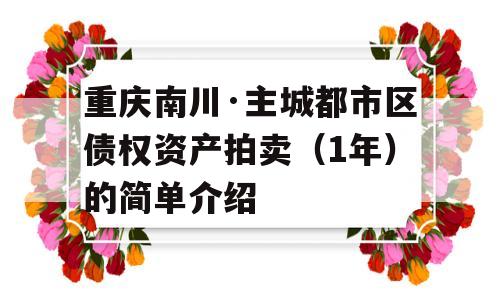 重庆南川·主城都市区债权资产拍卖（1年）的简单介绍