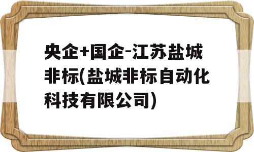 央企+国企-江苏盐城非标(盐城非标自动化科技有限公司)