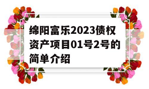 绵阳富乐2023债权资产项目01号2号的简单介绍