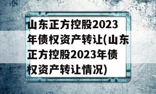 山东正方控股2023年债权资产转让(山东正方控股2023年债权资产转让情况)