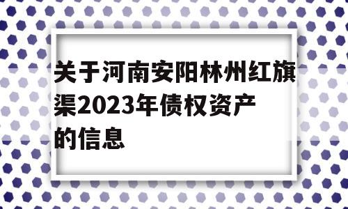 关于河南安阳林州红旗渠2023年债权资产的信息