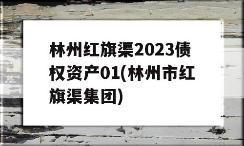 林州红旗渠2023债权资产01(林州市红旗渠集团)