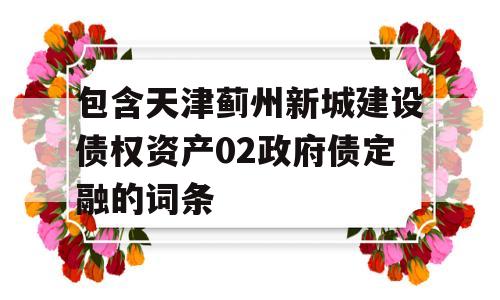 包含天津蓟州新城建设债权资产02政府债定融的词条