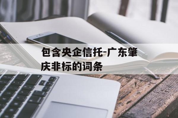 包含央企信托-广东肇庆非标的词条